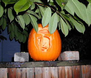 Pumpkin ... click on the skull below