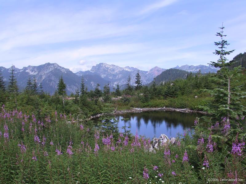 Jezrko na Windy Pass