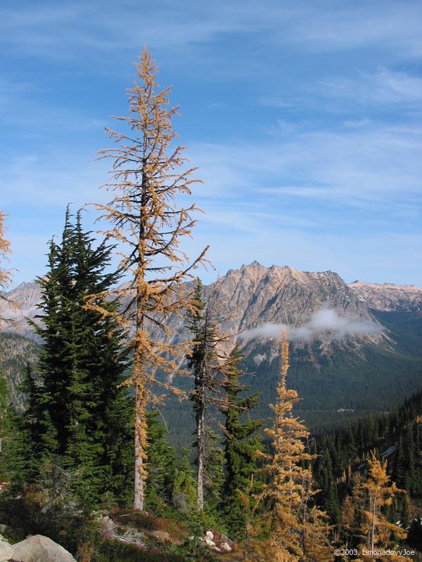 pohled do Washington pass