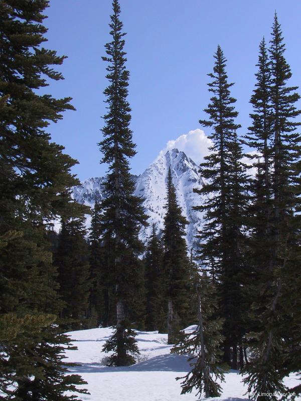 Whistler Mountain