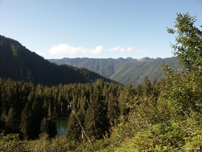 Elk Lake nad Hoh Valley